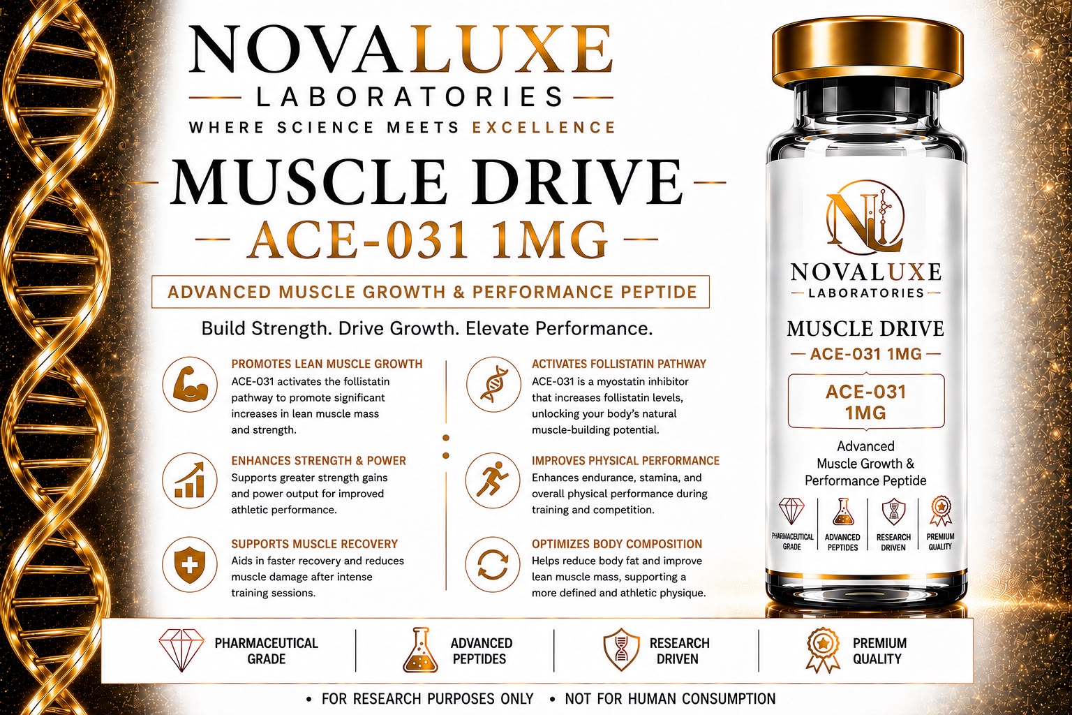 Novaluxe Laboratories - Muscle Drive (ACE-031 1mg)